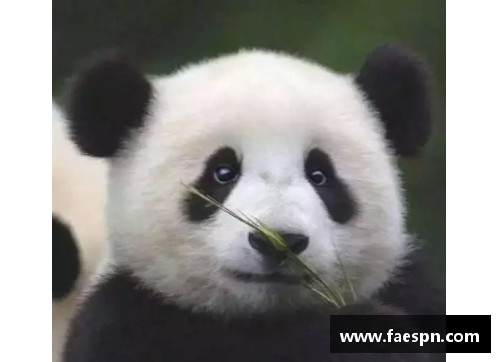 熊猫体育睡皮：一个足球球员的突如其来沉睡与觉醒 - 副本