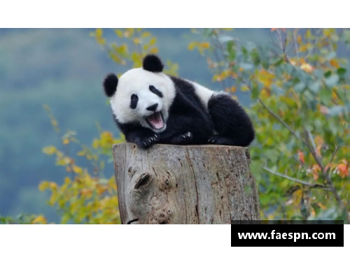 熊猫体育佛山南海积分攀升，一举成为劲敌