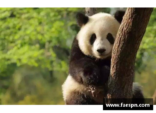 熊猫体育未来之星：他与仙气女友的羽坛传奇