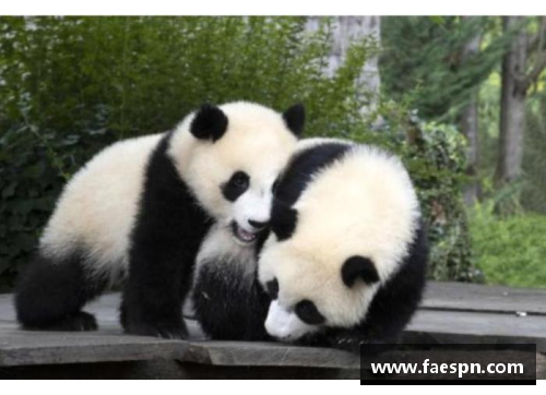 熊猫体育辉煌“十三五”·奋进新湖南丨大雁之城跳出“现代舞步” - 副本