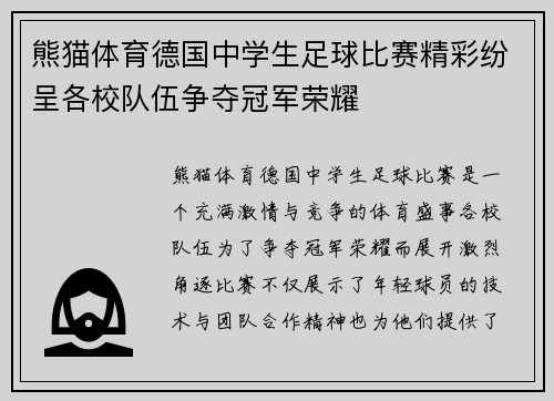 熊猫体育德国中学生足球比赛精彩纷呈各校队伍争夺冠军荣耀