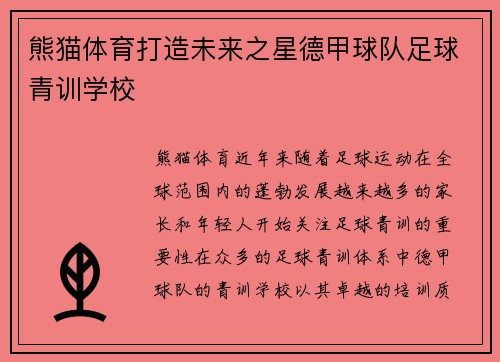 熊猫体育打造未来之星德甲球队足球青训学校