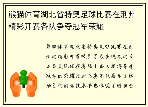 熊猫体育湖北省特奥足球比赛在荆州精彩开赛各队争夺冠军荣耀